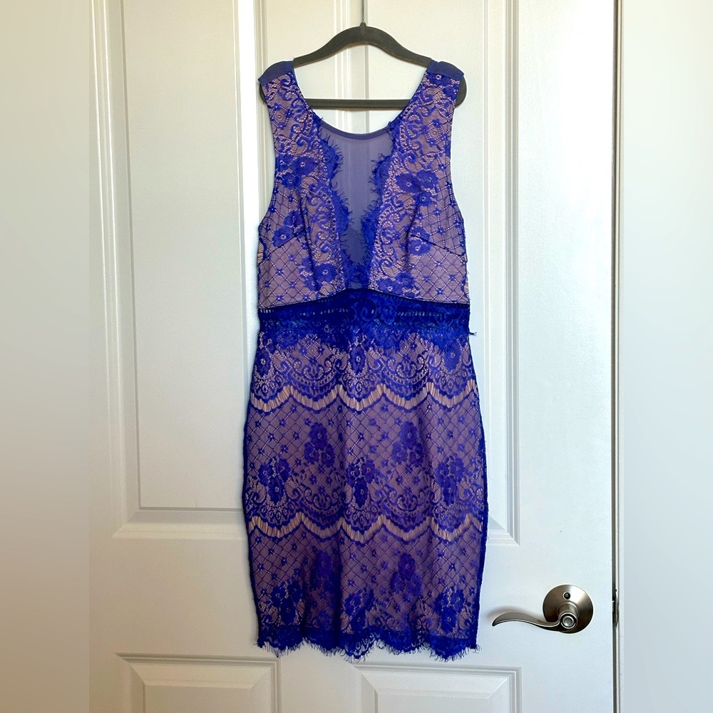 Blue Lace and Mesh Bodycon Minidress (Lush S)